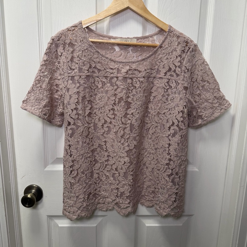 Ann Taylor LOFT Blush Lace Top Short Sleeve Blouse Semi Sheer Size Large